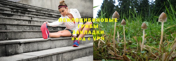 трава Зерноград