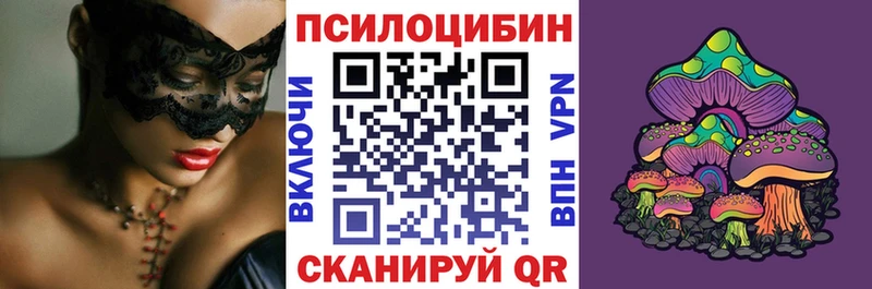 Купить  Хвалынск  Псилоцибиновые грибы MAGIC MUSHROOMS 